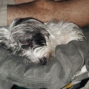 Meet your Posher, Jill